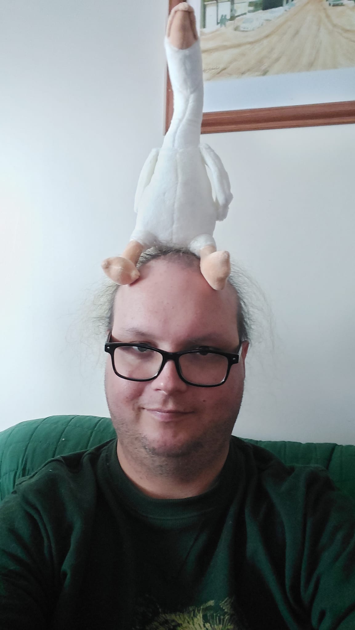 A man with thin hair is wearing a green sweater and sitting on a couch with a white goose stuffed toy on his head